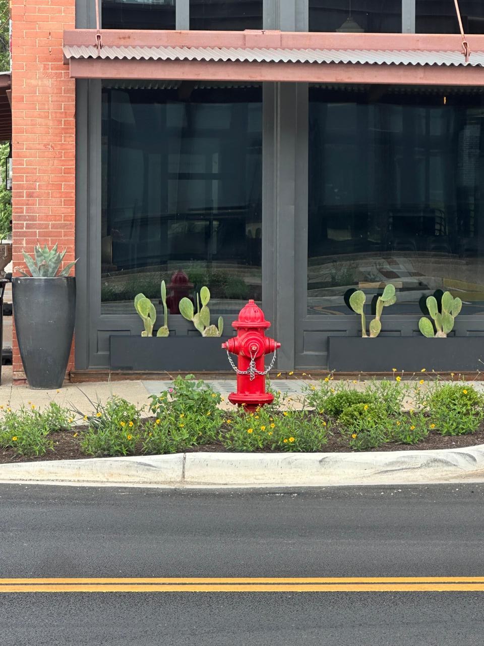 Local red fire hydrant photographed by Blake in Texas